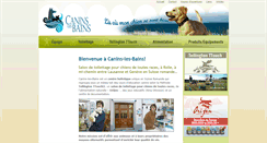 Desktop Screenshot of caninslesbains.com